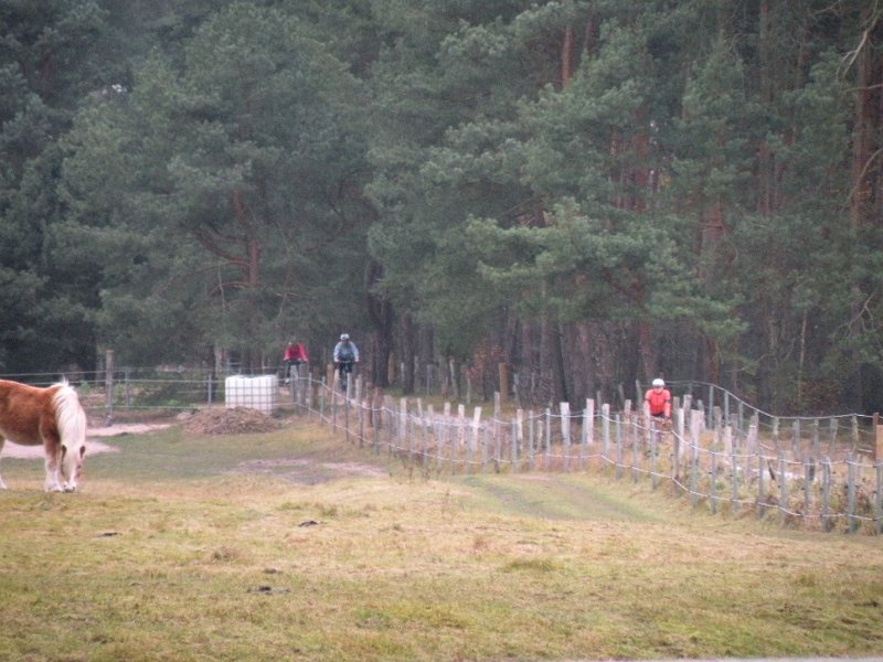 CTF Celle Crossover 030